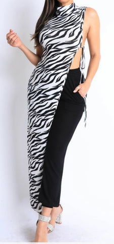 Zebra